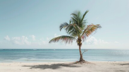 A lone palm tree standing on a sandy beach with the ocean in the background. Ideal for travel and vacation concepts