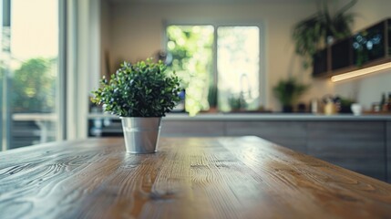 A simple potted plant on a wooden table, suitable for home decor