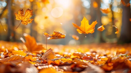 Forest floor strewn with autumn leaves, emphasizing selective focus.