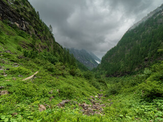 Fototapeta na wymiar Hike path though the Berchtesgadener Saugasse 