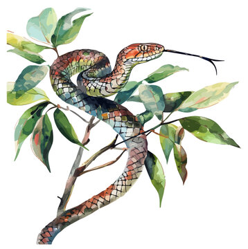 Watercolor Vector painting of a Snake, isolated on a white background, Snake vector, Snake clipart, Snake art, Snake painting, Snake Graphic, drawing clipart.