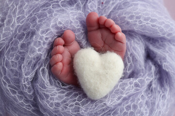 The tiny foot of a newborn baby. Soft feet of a new born in a lilac, purple wool blanket. Close up of toes, heels and feet of a newborn. Knitted white heart in the legs of a baby. Macro photography. 