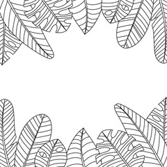 Hand drawn branches and leaves of tropical plants. Black and white seamless line horizontal texture. Monochrome doodle floral pattern. Vector sketch.