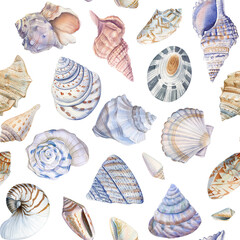 Sea shells. Seamless pattern with seashells. Marine background. Watercolor illustration for wrapping, textile, fabric  - 782232019