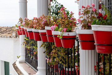 Typical potted plants on Mijas village