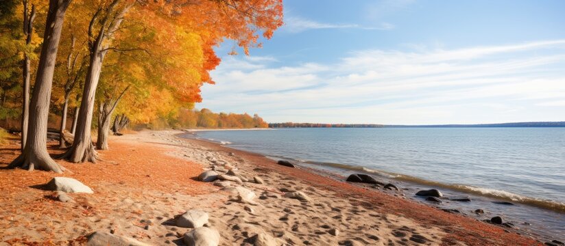 Autumn foliage frames lake with sandy beach