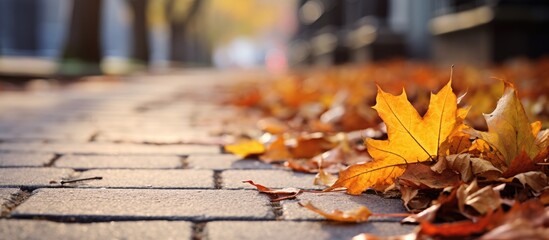 Fallen leaves on brick pathway - obrazy, fototapety, plakaty