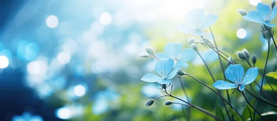 Gardinen Blue flowers bloom amidst green grass © HN Works
