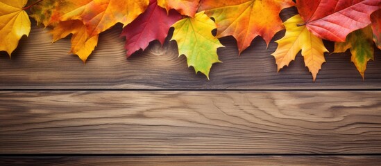 Naklejka na ściany i meble Autumn leaves on wooden backdrop