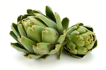 Obraz premium White Artichoke