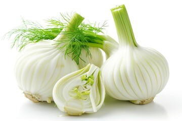 White plate with fresh fennel