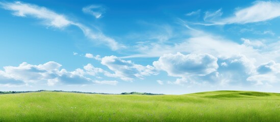 Fototapeta na wymiar Beautiful landscape of green field under blue sky with fluffy clouds