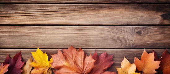 Naklejka na ściany i meble Group of fall leaves on wooden surface
