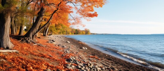 Autumn foliage blankets lakeside with trees in Erie - obrazy, fototapety, plakaty