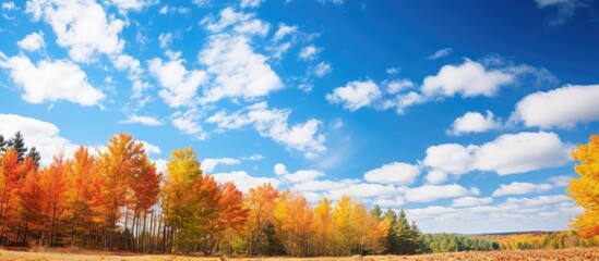 Fototapeta premium Truck driving on dusty path near flames
