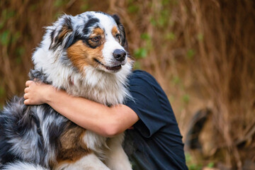 Girl hugging young Australian shepherd dog in garden. - 782248640