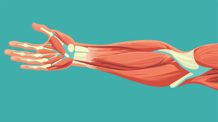 Obraz na płótnie Canvas Arm muscule icon. Flat illustration of arm muscule