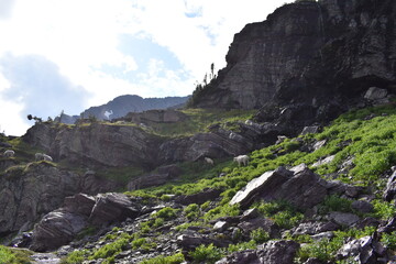 Wildlife, Forests, Mountains, and Landscapes in the northern USA