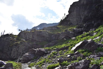 Wildlife, Forests, Mountains, and Landscapes in the northern USA