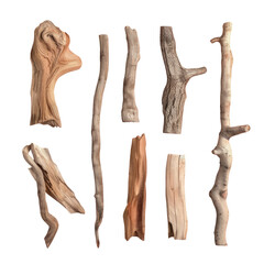 Close-up of assorted twigs on Transparent Background - obrazy, fototapety, plakaty