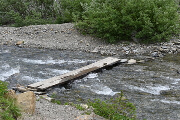 Obraz premium Wildlife, Forests, Mountains, and Landscapes in the northern USA