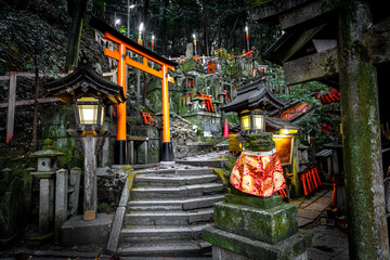 Enchanting night at fushimi inari shrine - obrazy, fototapety, plakaty