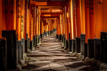 Serene pathway through torii gates - 782260031