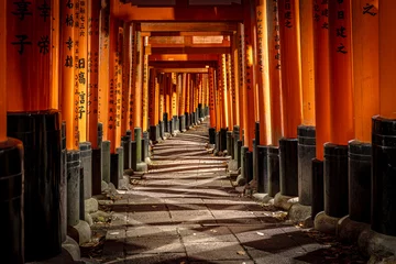 Tuinposter Serene pathway through torii gates © tiero