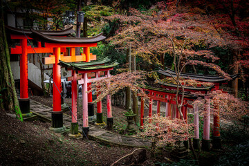 japanese shrine path in autumn