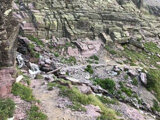 Wildlife, Forests, Mountains, and Landscapes in the northern USA