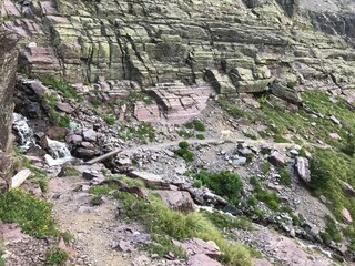 Wildlife, Forests, Mountains, and Landscapes in the northern USA