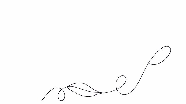 Leaves, one line drawing animation. Video clip with alpha channel.