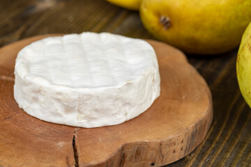 delicious cheese covered with safe white mold