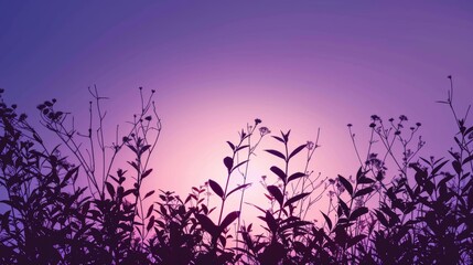 Silhouette of plants against a purple sunset sky