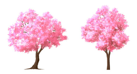 Obraz premium Vector watercolor blooming flower tree or forest side view isolated on white background for landscape and architecture drawing,elements for environment or and garden,Sakura tree for section 