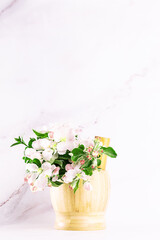 Wooden mortar with fresh aromatic apple flowers on white backgroundclose up. Natural herbal cosmetic banner.