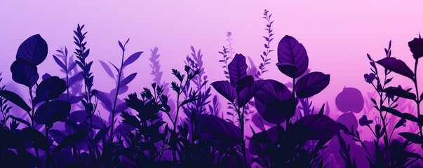 Silhouetted plants and flowers at dusk with purple gradient sky - obrazy, fototapety, plakaty