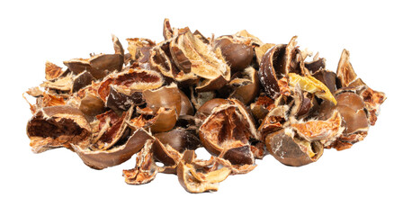 Chestnut Husks Isolated, Edible Sweet Chestnuts Shells, Bio Garbage for Compost, Organic Waste...