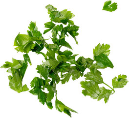 Fresh Green Chopped Parsley Leaves Isolated on White Background