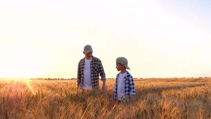 A family farmer during harvesting. A man and a child. Dad and son going through a wheat field. Farmer working in wheat field during sunset. A child helps his father on the farm - obrazy, fototapety, plakaty