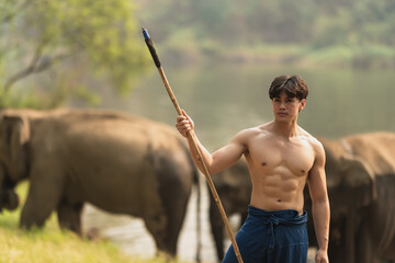 Handsome shirtless young Thai mahout holding spear weapon controlling Asian elephants in animal...