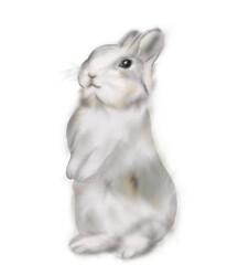 Graphic illustration of gray Fluffy little cute Bunny rabbit with white background. Idea for childrens books, art, cartoon, copybooks, poster, stickers, banner, Easter Day, sprint painting.