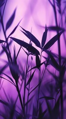Silhouetted plants against a purple background