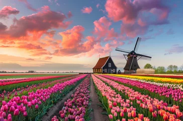 Schilderijen op glas A colorful tulip field with windmills in the background  © Cetin