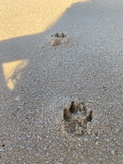 footprint on the sand