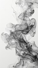 Elegant black smoke swirls on white background