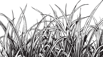 silhouettes grass and reeds - obrazy, fototapety, plakaty