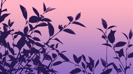 Silhouette of plants against gradient background