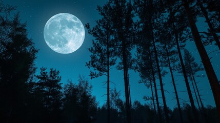 Fototapeta na wymiar Full moon over a pine forest at night