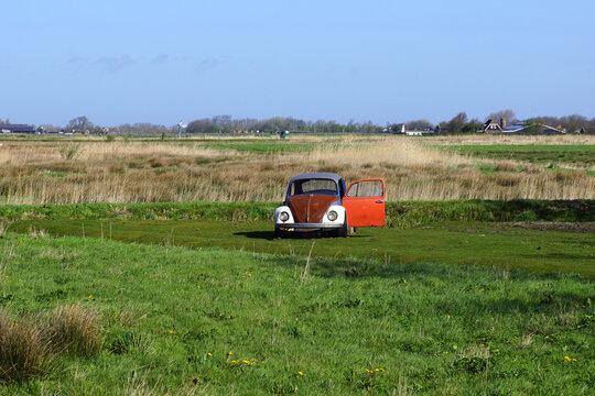 Old rusty beetle volkswagen in the meadow with open door. Spring, April, Netherlands